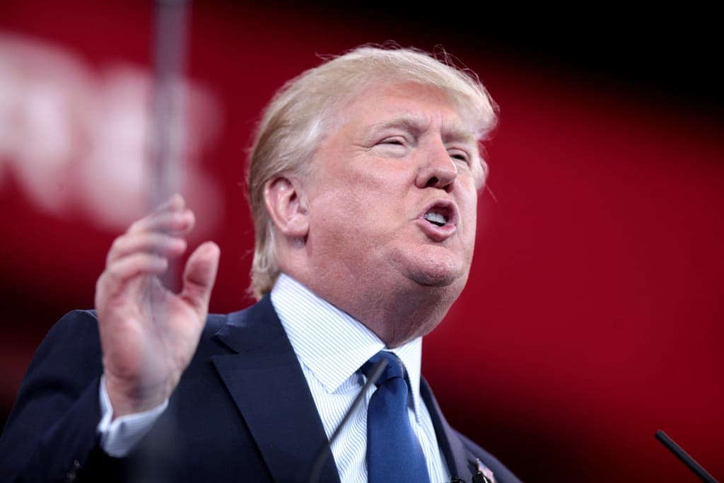 Donald Trump wins US Presidential election: The music world reacts