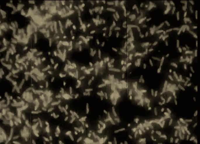 Watch the sinister new video for Old Apparatus’ ‘Realise’