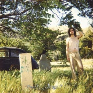 Ariel Pink’s Haunted Graffiti: The Doldrums