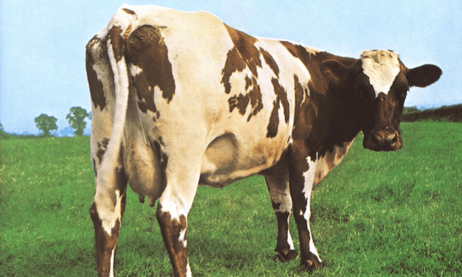 Vinyl subscription service Feedbands launches farm to literally feed bands
