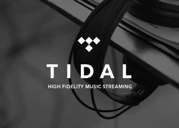 Tidal CEO Peter Tonstad quits company after two months