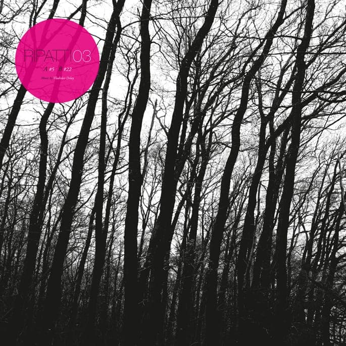 Vladislav Delay reveals mysterious new 12″