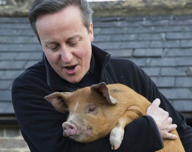 Morrissey-inspired satirical band The Iain Duncan Smiths have already recorded 'Pig's Mouth Strikes Again'