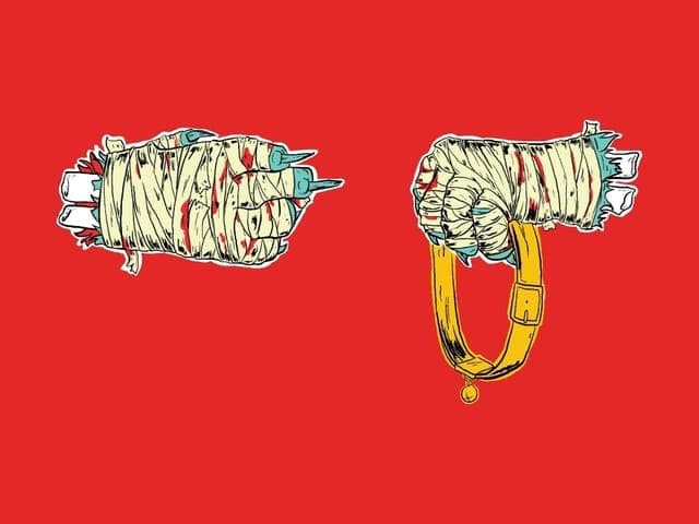 Run The Jewels release Meow The Jewels