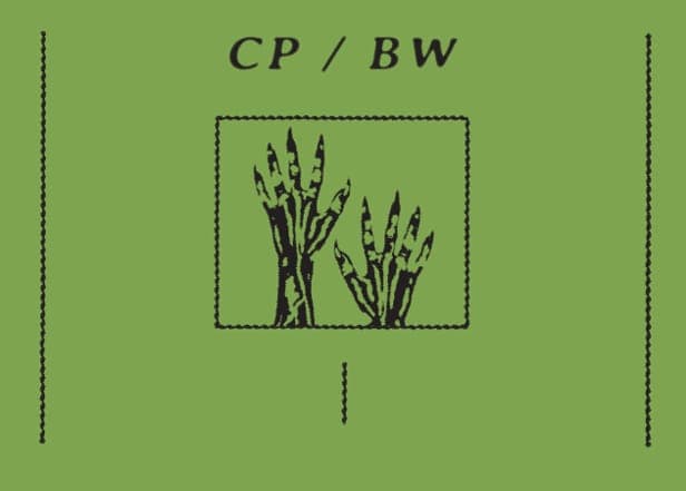 Beau Wanzer and Corporate Park team up for a warped LP of dank electronics