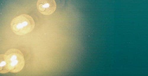 Download a staccato club cut from Brighton prospect Guy Andrews