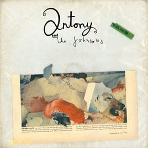 Antony and the Johnsons: Swanlights