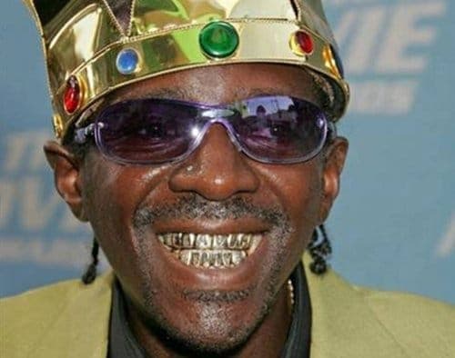 ‘Can We Get A Witness?’: Flavor Flav dodges jail