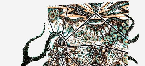 Shackleton launches new label, Woe To The Septic Heart