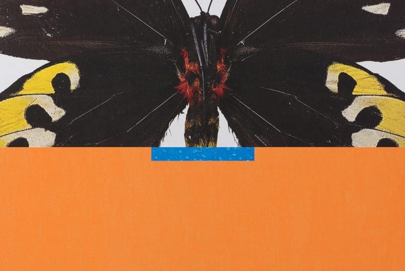 Jules Venturini to release 12″ on Whities, shares ‘Flying Kites’