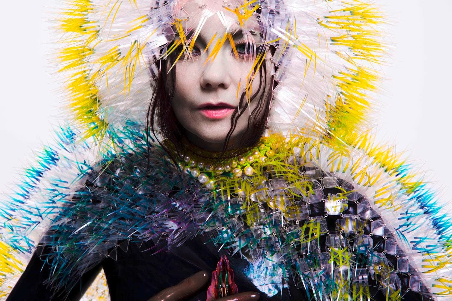 Björk to headline Oxfordshire's Wilderness Festival 2015