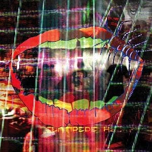 Animal Collective - Centipede Hz FACT review