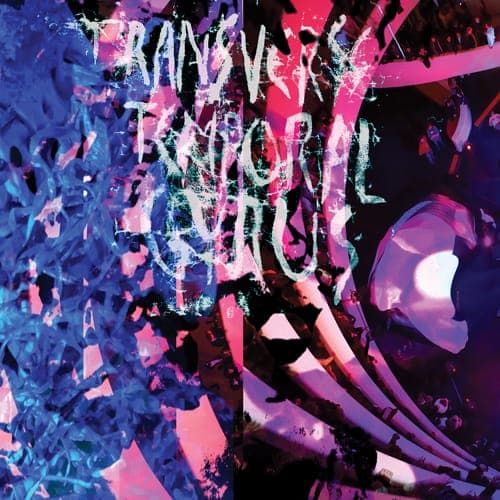 Animal Collective – Transverse Temporal Gyrus
