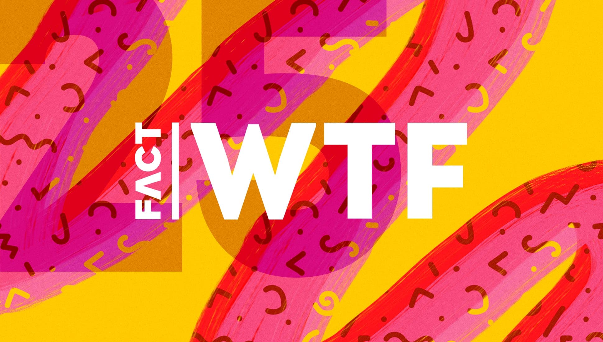 The 25 most WTF music news stories of 2017