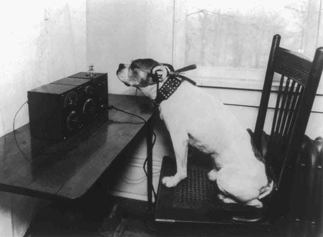 Niche 'n' Bump's top 10 pirate radio stations of 2013