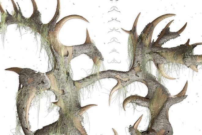 Hear the cacophonous new Janus release from Bekelé Berhanu