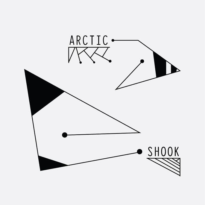 Premiere: Hear Arctic’s grimy new EP for Coyote Shook