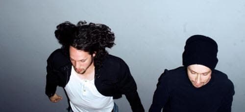 Solar Bears: eternal sunshine