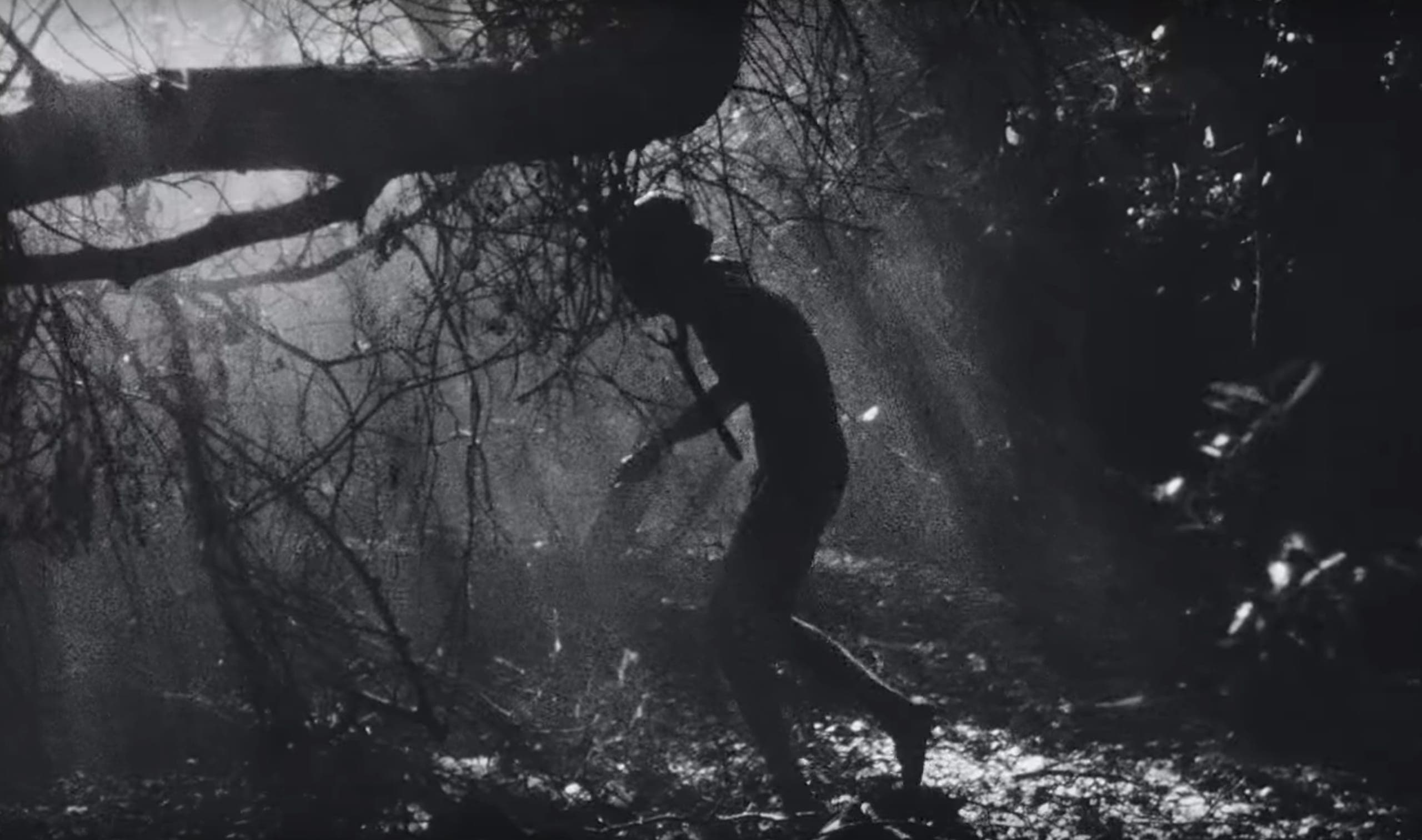 Watch FUCKKKYOUUU, a short film scored by Flying Lotus