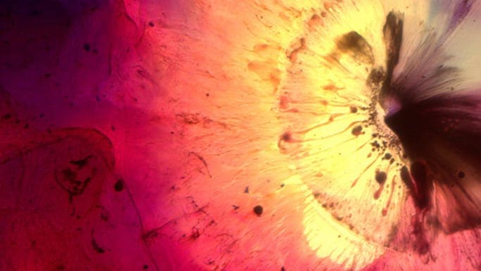 tim green helpless sun video