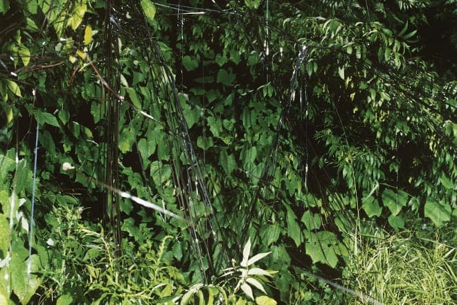 Battles' 2006 classic EP C/B EP comes to vinyl
