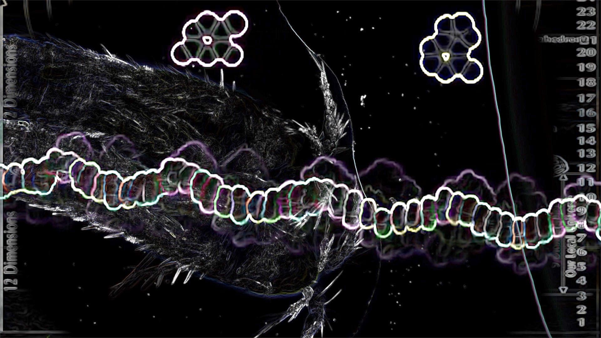 Joey Holder
