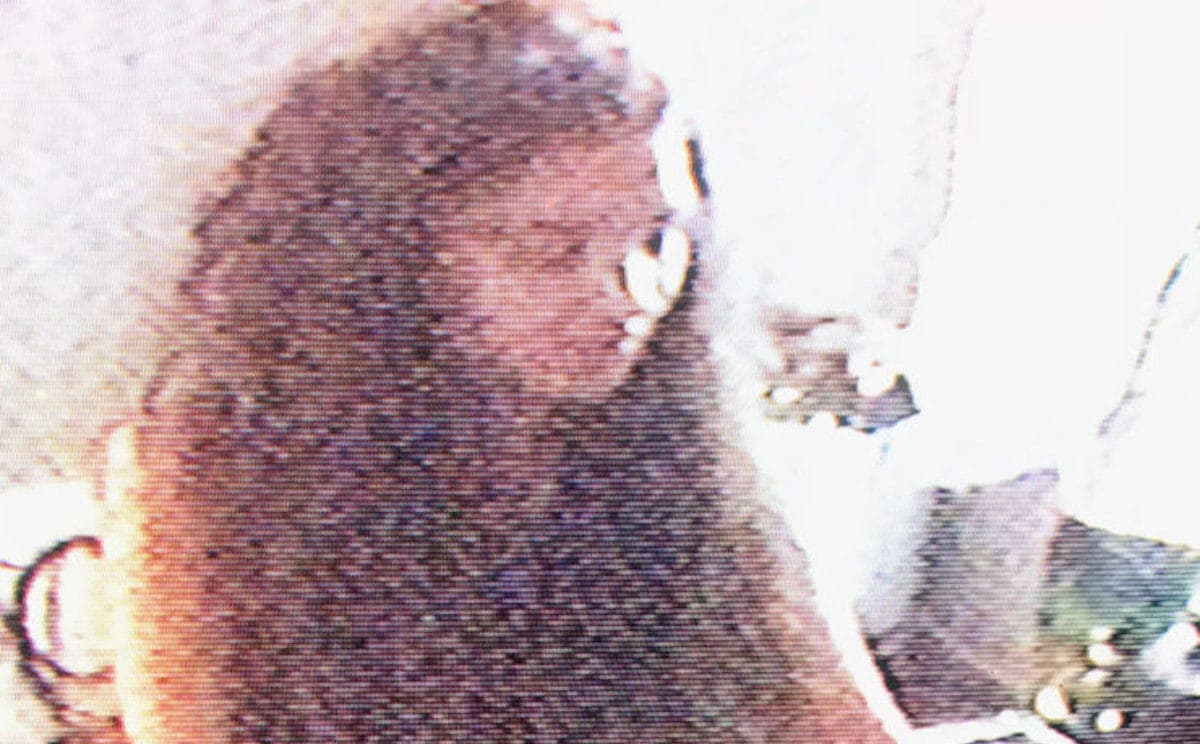 Portrait of Sunun