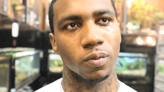 Lil B calls Martin Shkreli a “legend”, says “I respect your love for art and music”