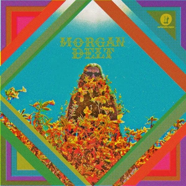 Morgan Delt