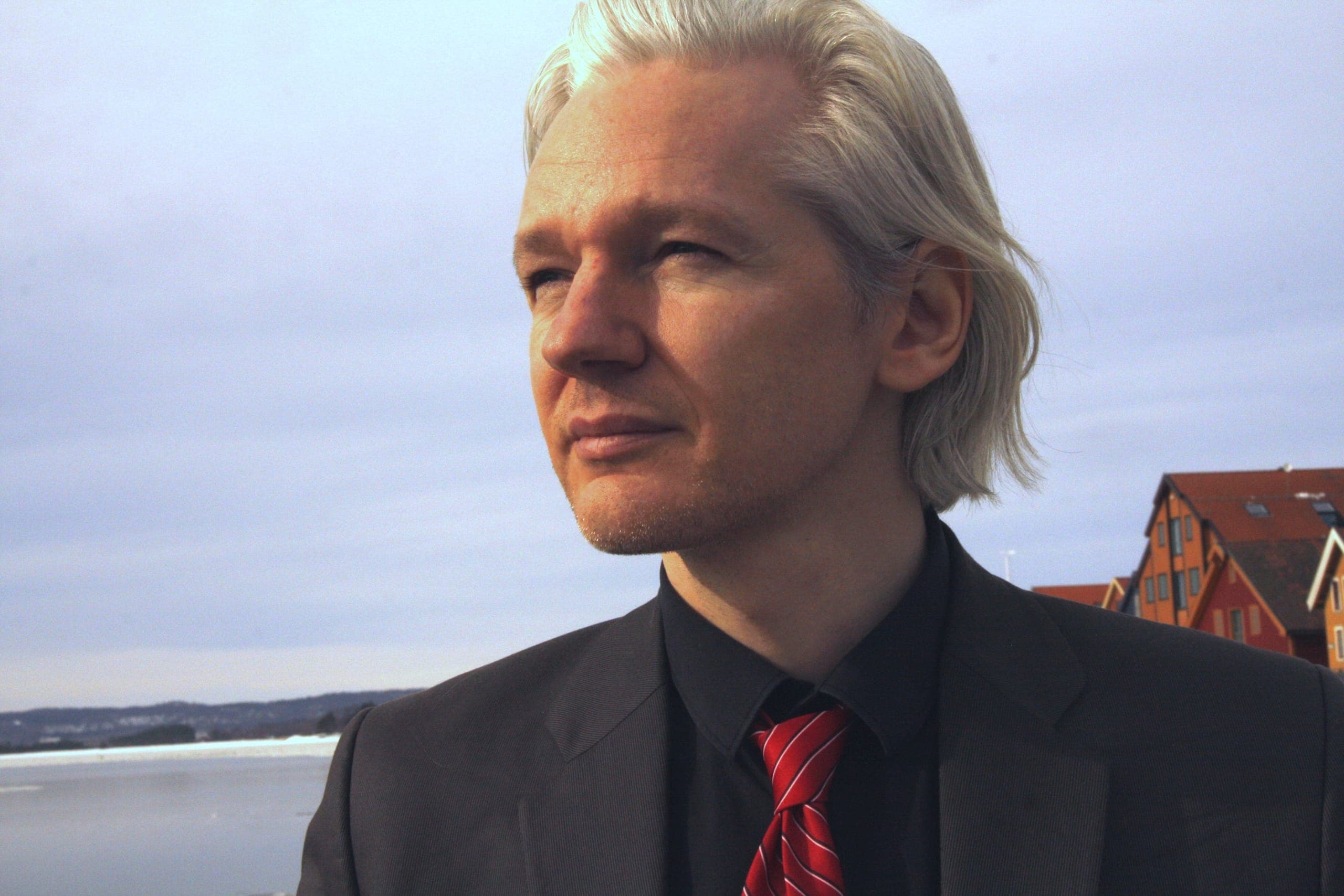 PJ Harvey and Brian Eno lent support to pro-Julian Assange event