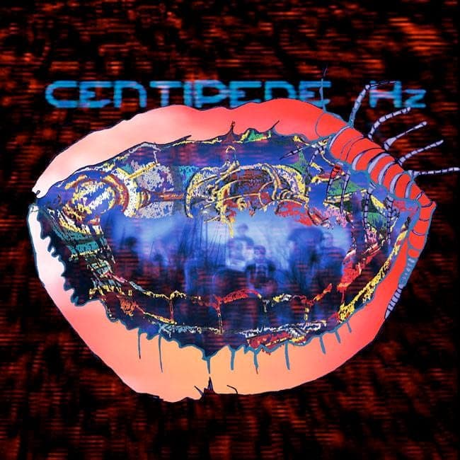 Animal Collective unveil new album cover art