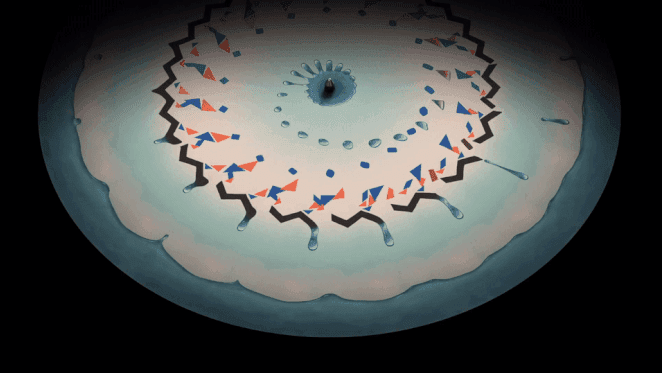 Animal Collective’s new LP comes with a zoetrope slipmat