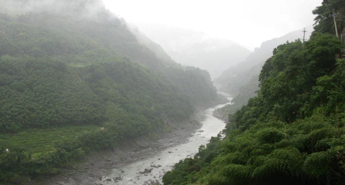 taiwain drugs water supply spring scream