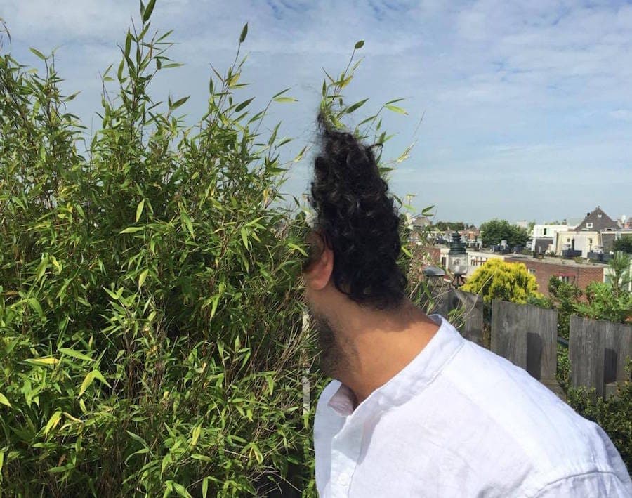 Boston producer Insha announces debut LP on Type, shares jagged, slithering preview