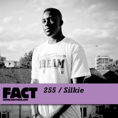 FACT mix 255: Silkie