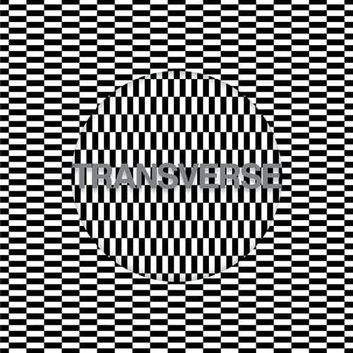 Chris & Cosey team up with Factory Floor’s Nik Void for album on Mute
