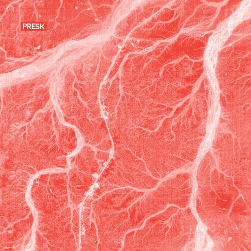 Presk – ‘Hesitate’ / ’Kook’