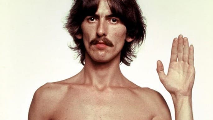 George Harrison memorial tree killed… by beetles