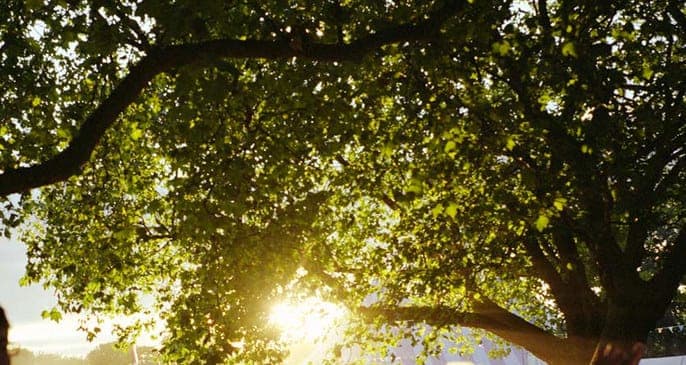 FACT to stream Seth Troxler and Julio Bashmore live from Field Day this weekend