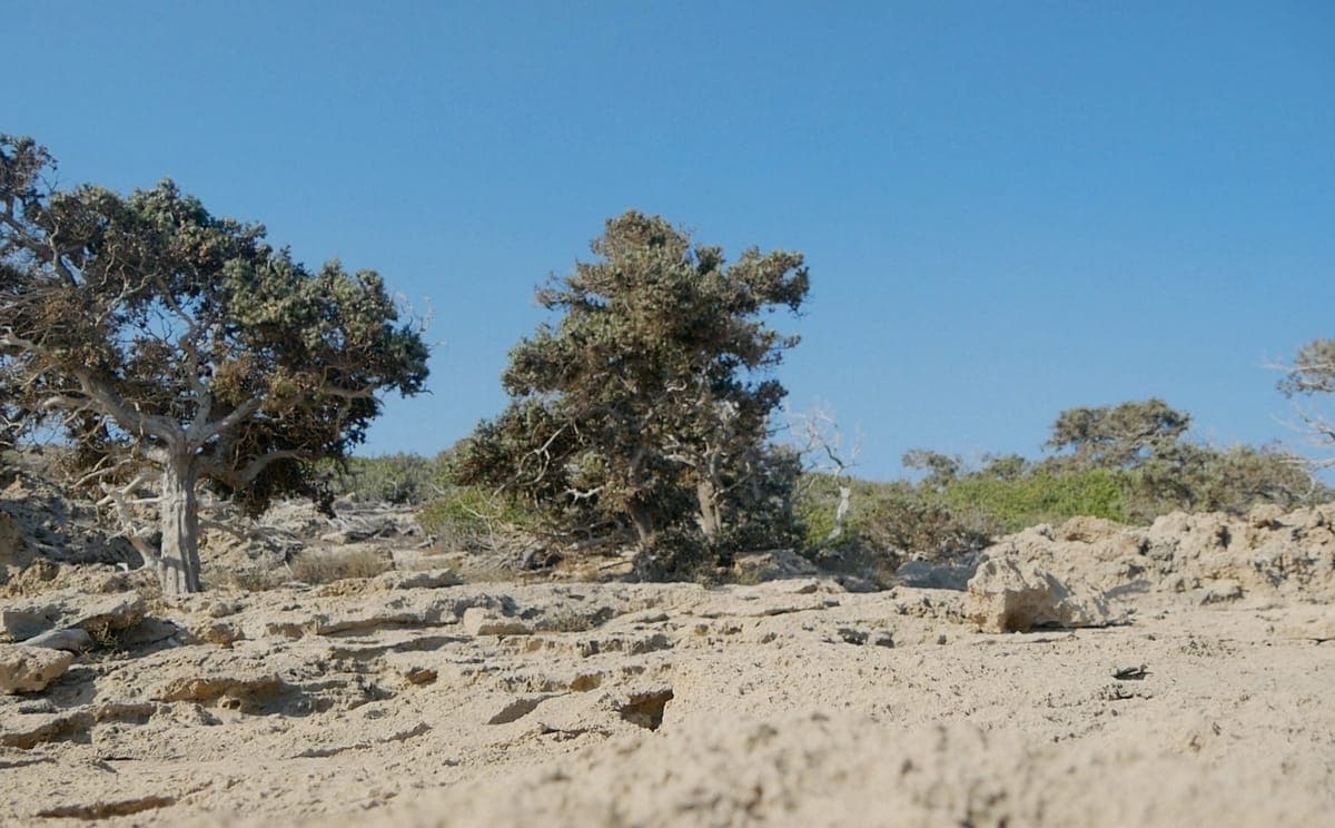 Gigi Masin explains how a remote Greek island inspired his new album