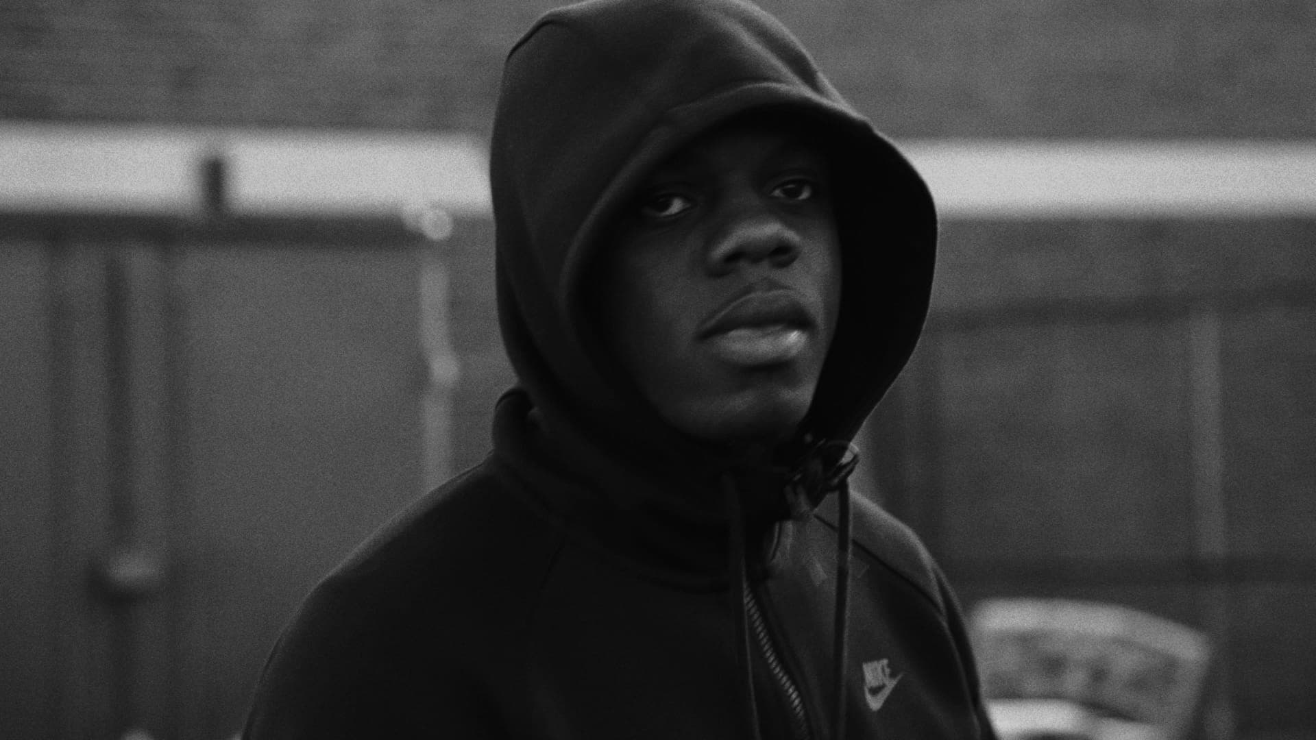 FACT Freestyles – Blue Daisy