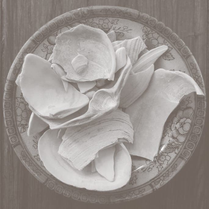 Bee Mask joins forces with Autre Ne Veut on new 12″