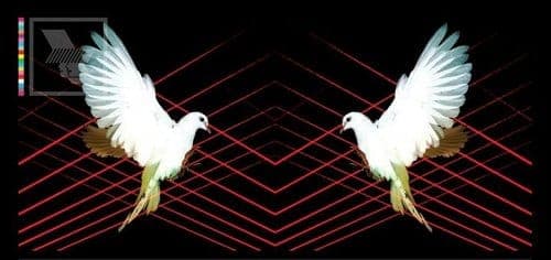 The Warehouse Project announces enormous 2012 line-up