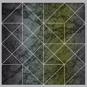 Ricardo Donoso: Progress Chance