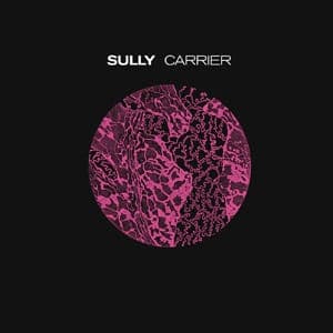 Sully: Carrier