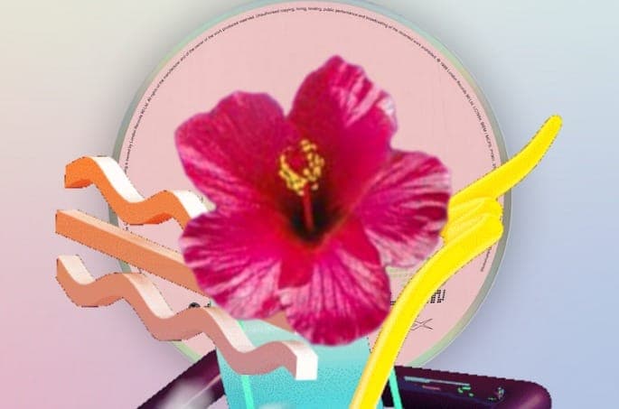 1080p and Olde English Spelling Bee unite for epic multimedia compilation featuring Torn Hawk, Moon B and James Ferraro
