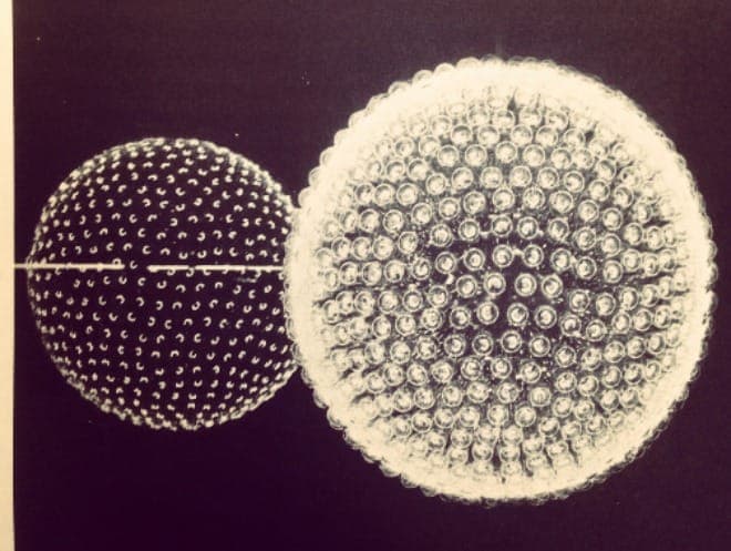 Trippy house, hypnotic mantras and I:Cube: The week's best vinyl releases