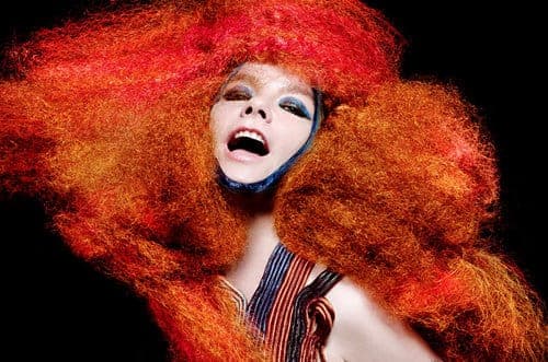 Death Grips, Herbert, Hudson Mohawke and more remix Björk’s Biophilia