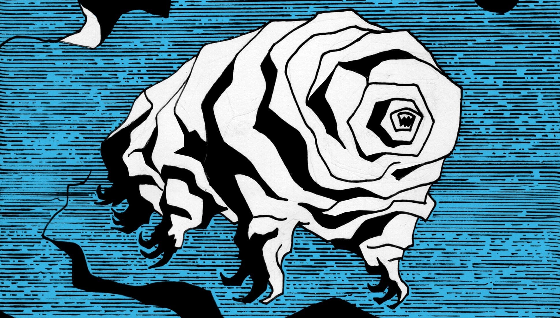 ZULI FACT mix