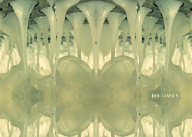 Implodes' Ken Camden announces third album for Kranky